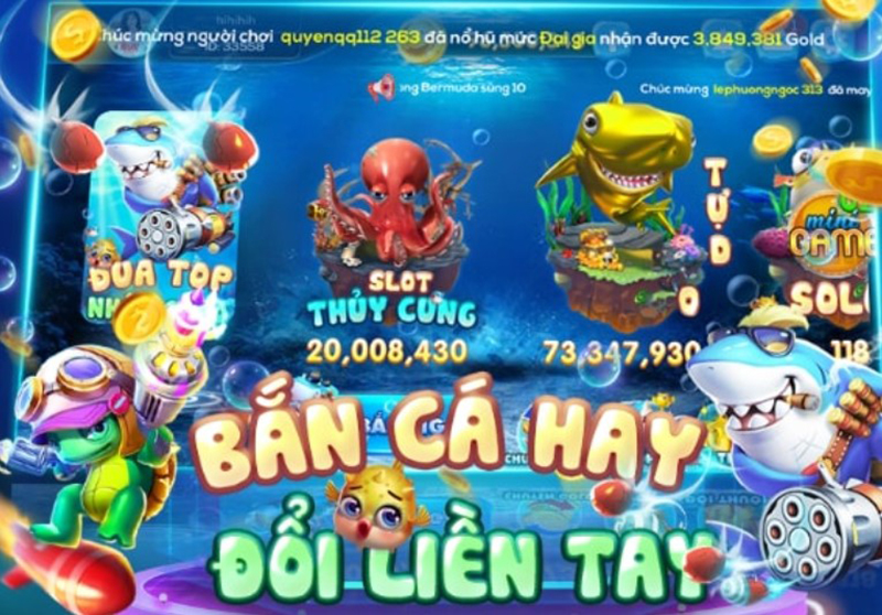 Trả lời câu hỏi game bắn cá bingo là gì?